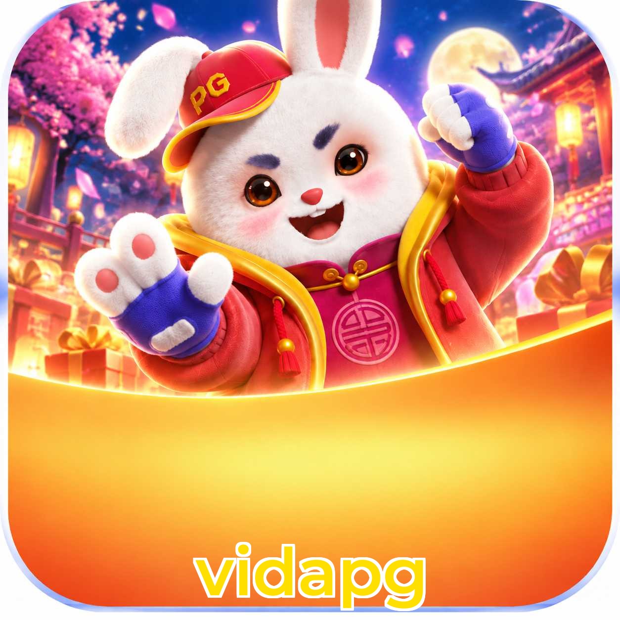 vidapg Logo
