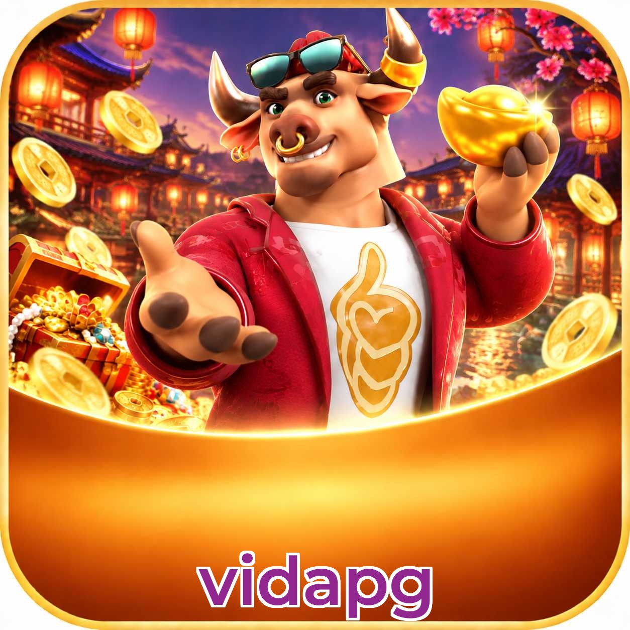 vidapg Win FAQ