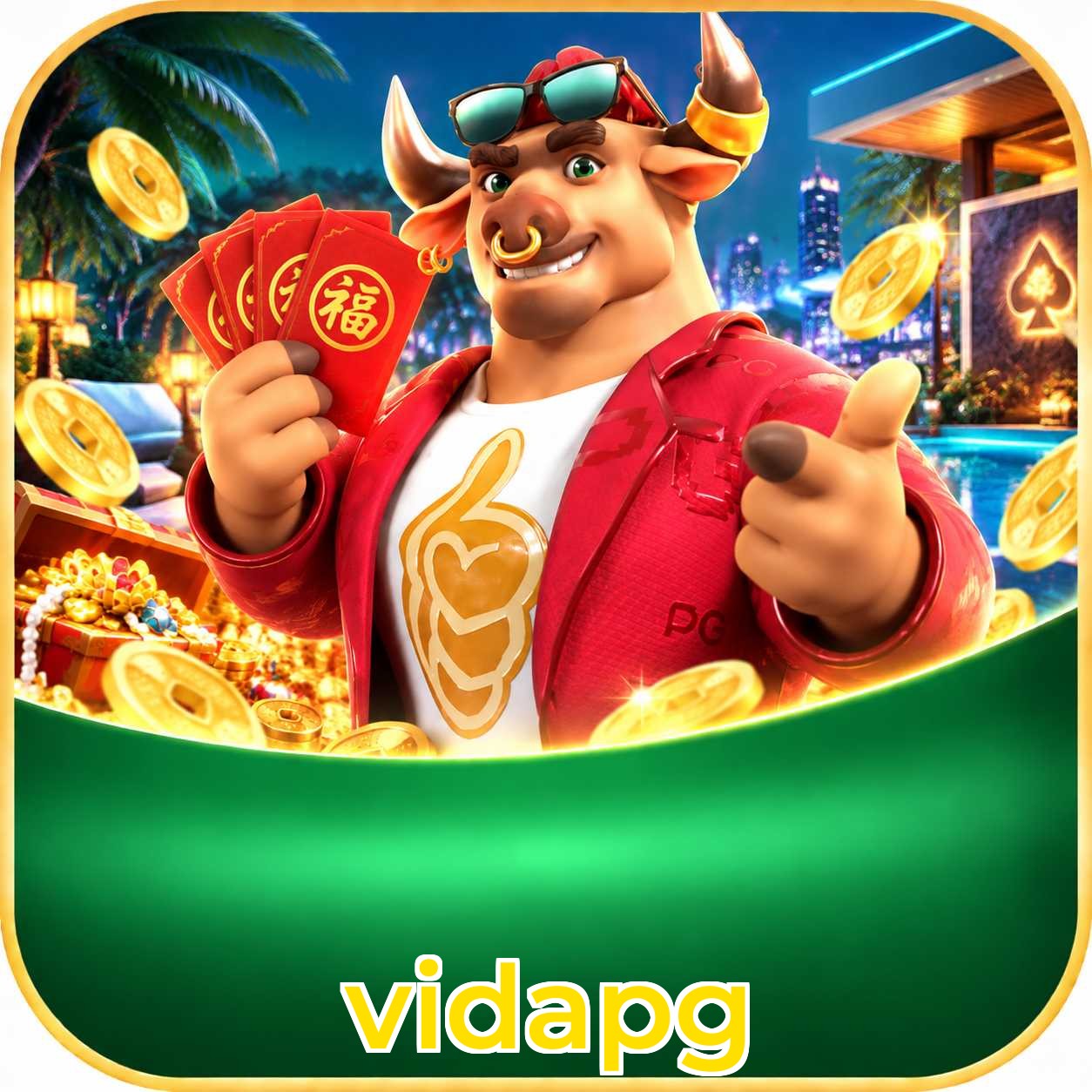 vidapg Logo