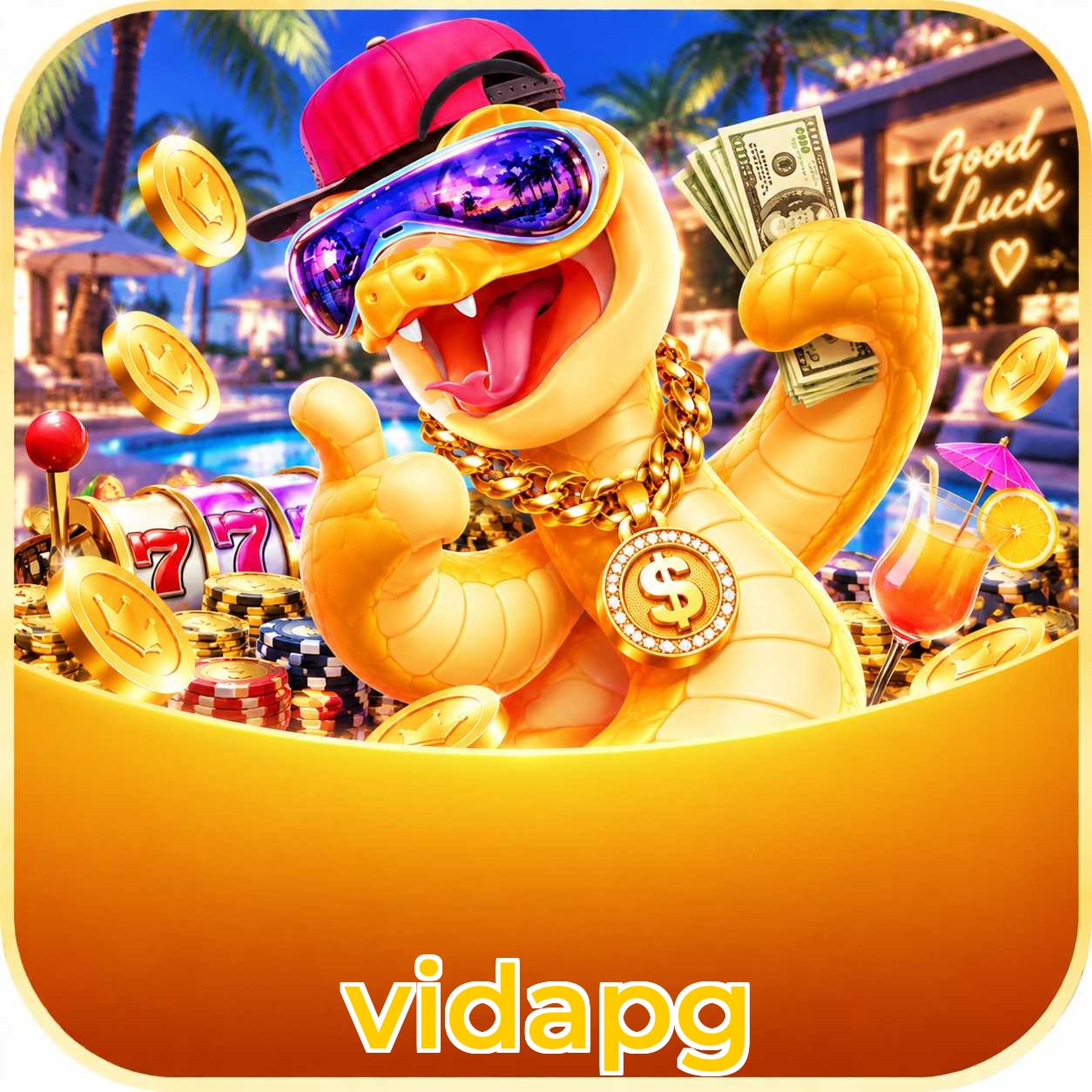 vidapg Lottery FAQ
