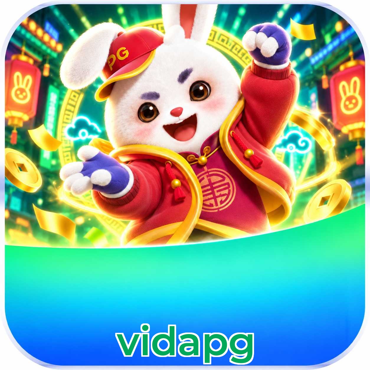 vidapg System Requirements