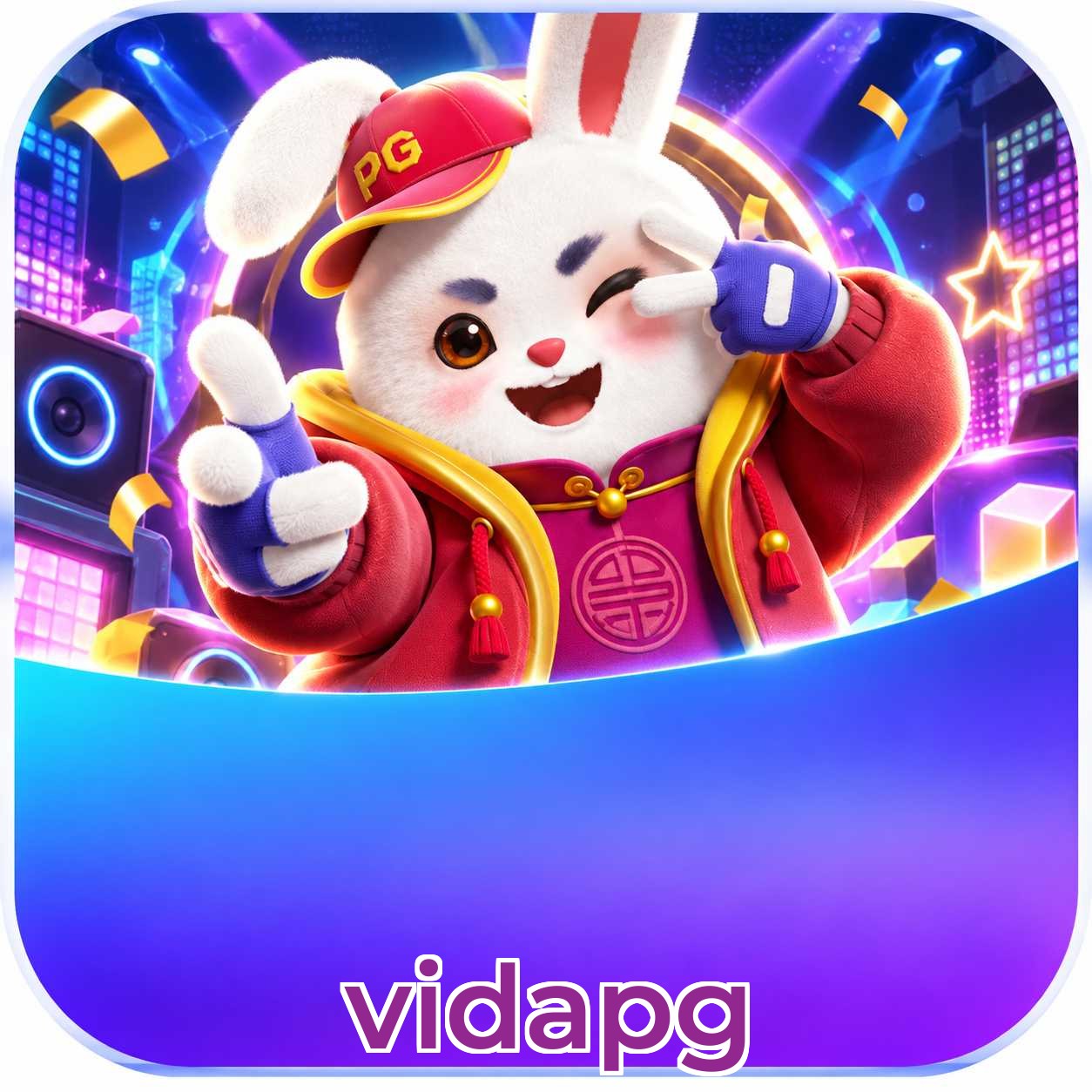 vidapg Security
