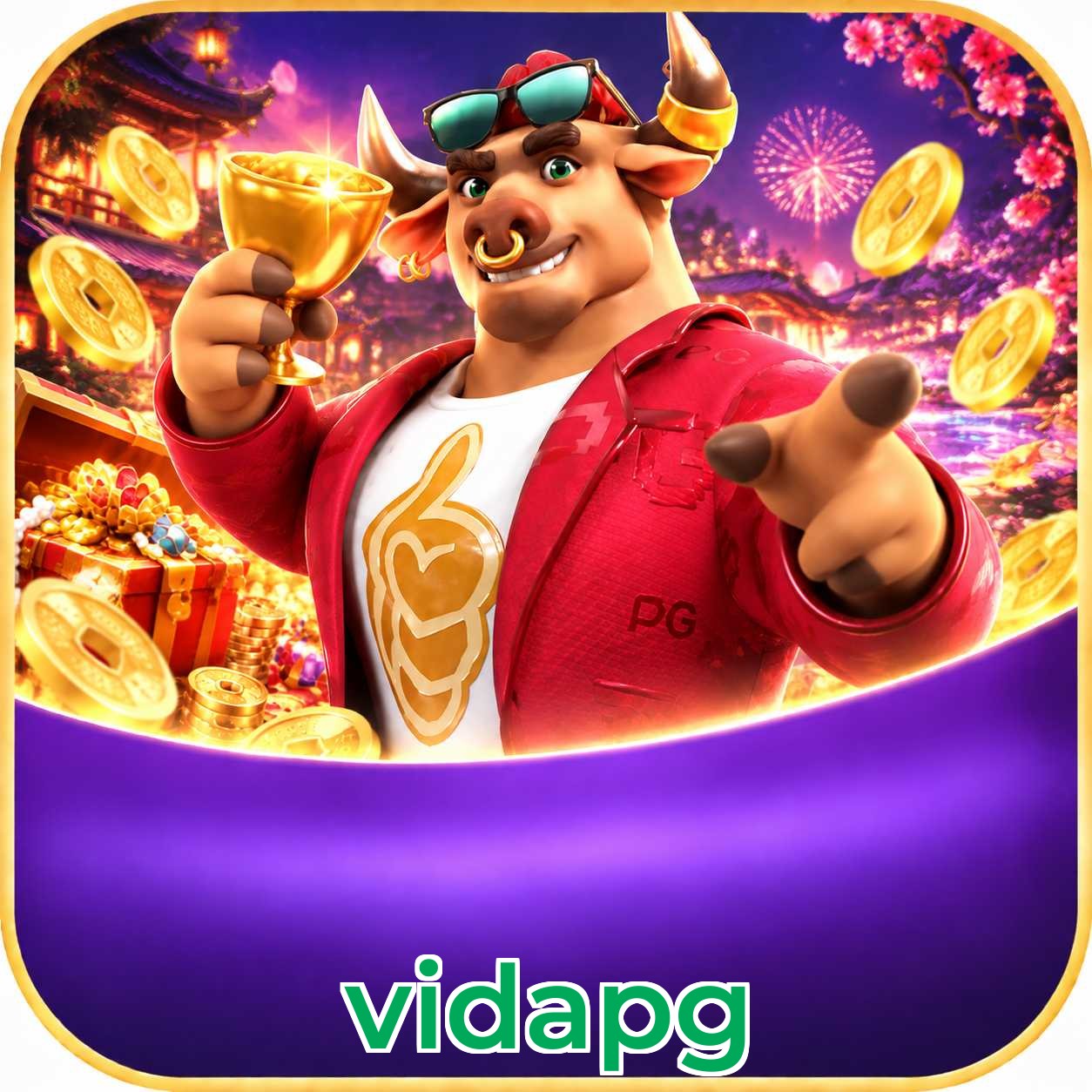 vidapg Live Casino Overview
