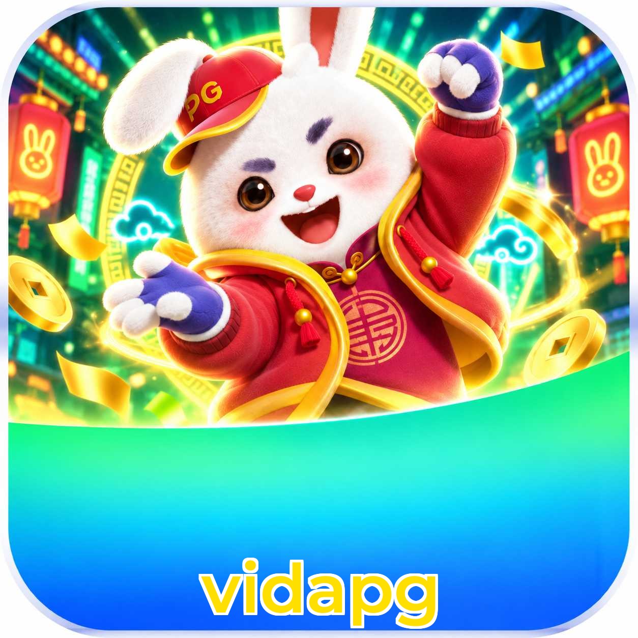 vidapg Logo