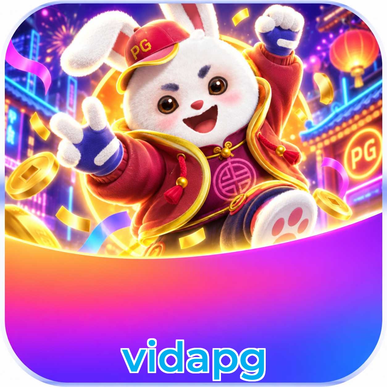 vidapg Payment Speed