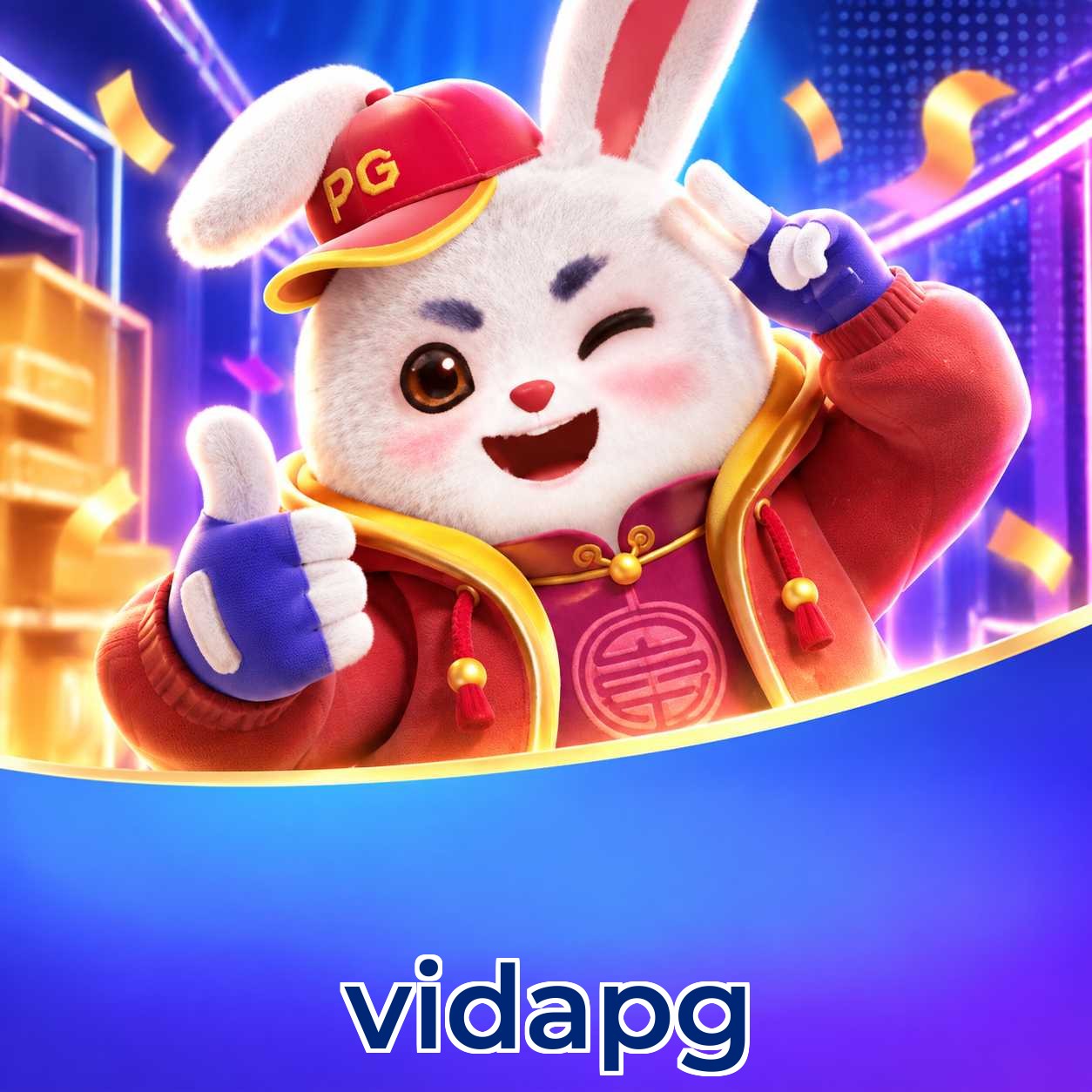 vidapg Logo
