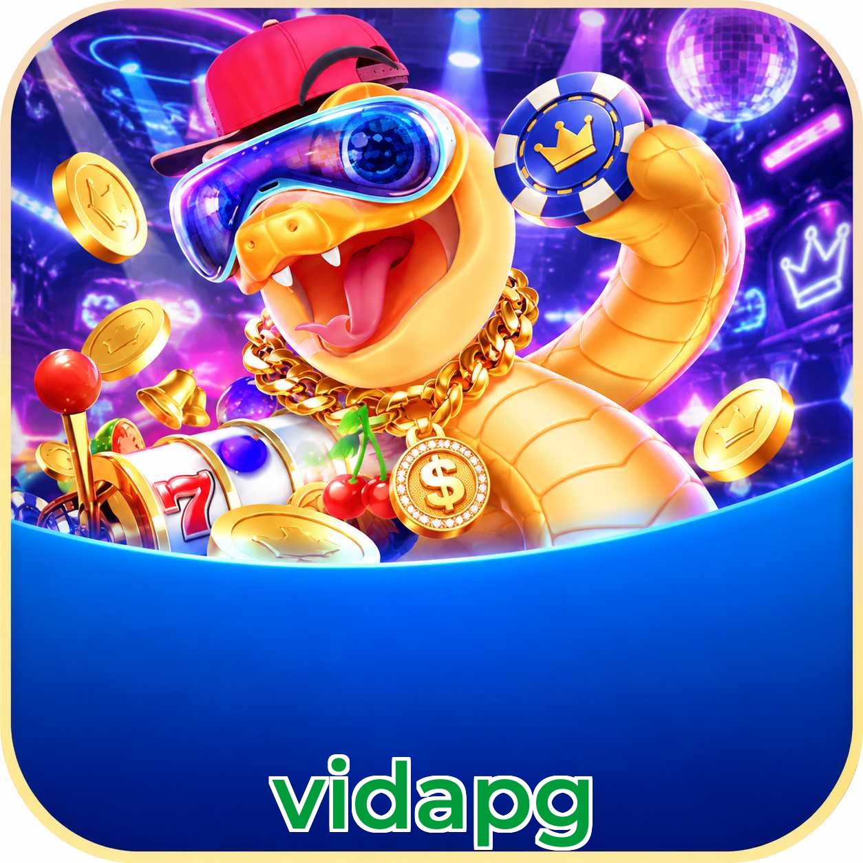 vidapg Plataforma FAQ
